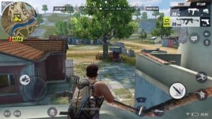 rules of survival